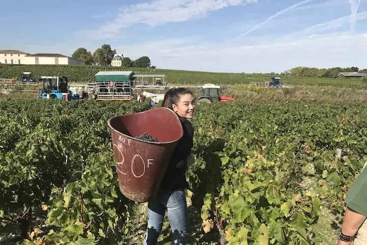 2874656e39174154a2bbbbef73ceebaa Bernice+Liu+in+the+vineyards