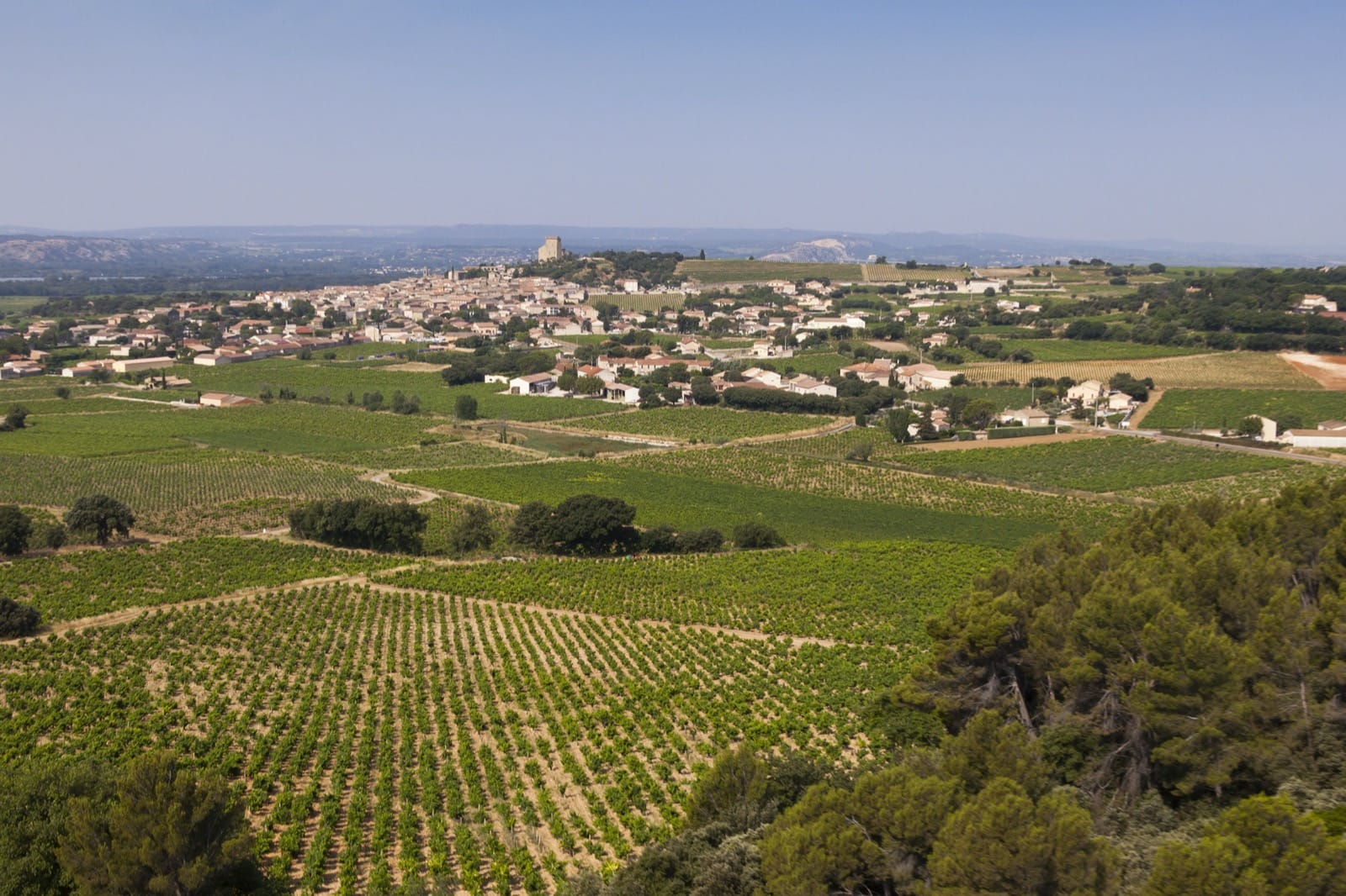 Wine Maven | Domaine des S矇n矇chaux Vineyard Village 2