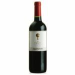 Viña Quintay Carmenere 2012
