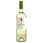 Charles Baur Riesling Alsace AOC 2019