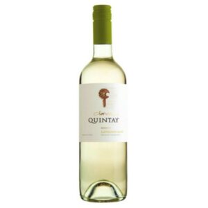 Viña Quintay Sauvignon Blanc | Wine Maven