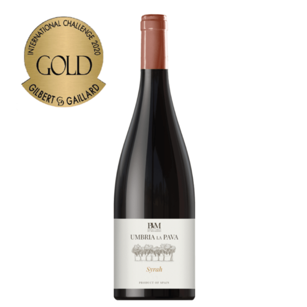 Wine Maven | Umbria La Pava Syrah product 1 wpp1654021461452