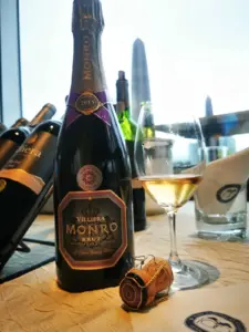 Revolution in South Africa: A Toast to a Brave New World-1